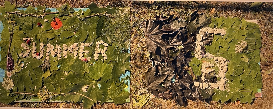 2026 07 14 Landart 5